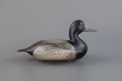 Bluebill Drake by Robert Elliston (1847-1925)