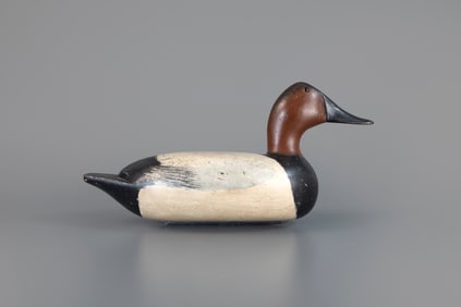 Canvasback by Hiram "Hy" Hotze (1886-1977)