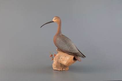 Long-Billed Curlew by Walter J. Ruppel (1902-1999)