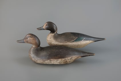 Rare Hollow Challenge-Grade Pintail Pair by Mason Decoy Factory (1896-1924)
