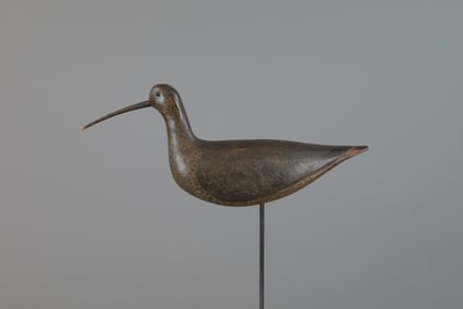 Hudsonian Curlew by Thomas Gelston (1851-1924)