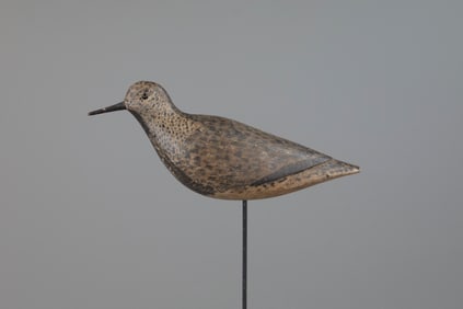 Important Gelston Plover by Thomas Gelston (1851-1924)