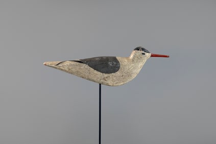 Tern attributed to William Southard