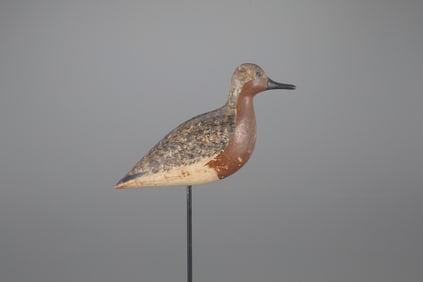 Robin Snipe by Harry V. Shourds (1861-1920)