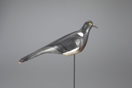 English Wood Pigeon by George G. Bussey Co.