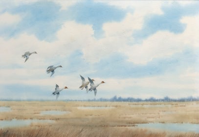 Joseph Day Knap (1875-1962), Pintails