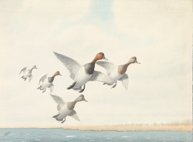 Joseph Day Knap (1875-1962), Redheads