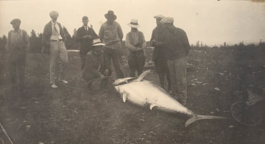 Zane Grey Tuna Photo and Ashaway Fishing Line