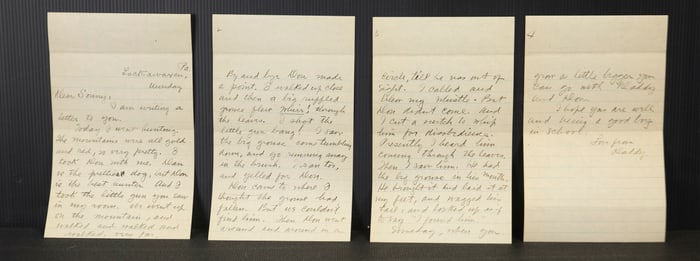 Letter from Zane Grey to Romer Grey