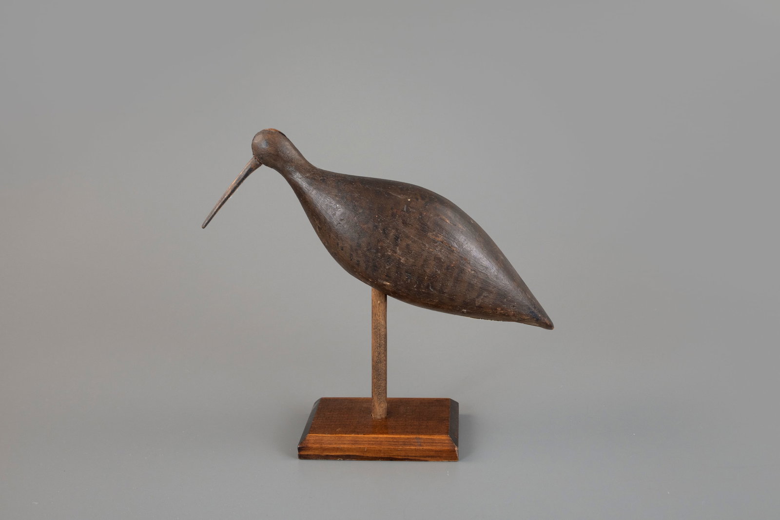 Curlew (1 of 4)