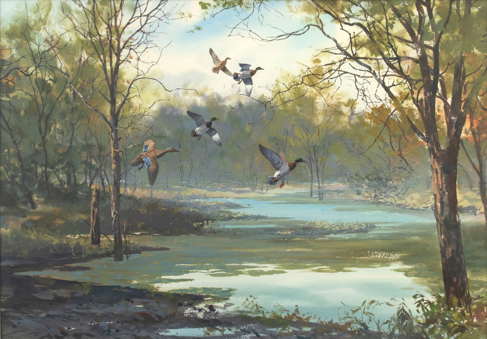 James Robinson (1944-2015), Mallards Coming In: James Robinson (1944-2015) Mallards Coming In signed "Robinson" lower left watercolor, 21 1/2 by 29 1/2 in. James Robinson was a prominent Texas painter of the America West, wildlife, and animals. Bor