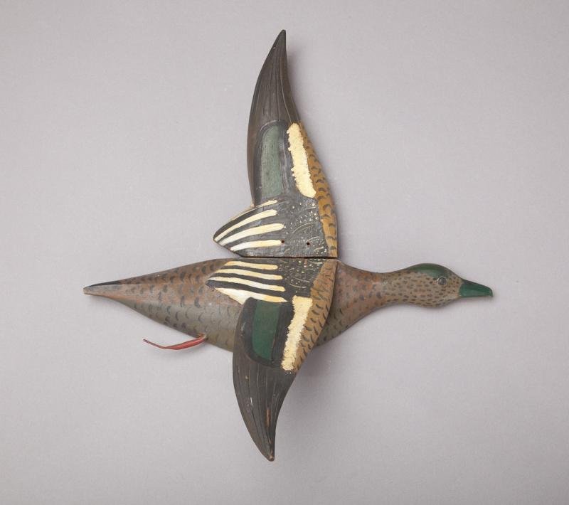 Flying Wigeon Hen: Flying Wigeon Hen Charles Hart (1862-1960) Gloucester, MA, c. 1920 A tack-eyed, life-size silhouette of a wigeon in flight with two attached wings and a metallic leg. Original paint with minor separat