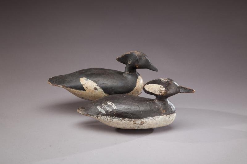 Hooded Merganser Pair: Hooded Merganser Pair Charles E. Jester (1876-1952) Chincoteague, VA, c. 1930 Two hollow merganser decoys with painted eyes. The hen has the Roy Bull (1911-1982) of Townsend, Virginia collection brand