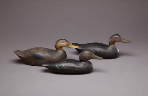 Three Factory Black Ducks: Three Factory Black Ducks Mason Decoy Factory (1896-1924) Detroit, MI, c. 1915 Lot of three Mason black ducks including all three grades: standard, challenge, and premier. As found condition. The chal