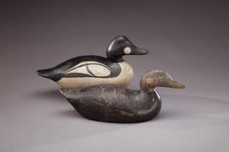 Black Duck and Goldeneye Drake: Black Duck and Goldeneye Drake As found condition.