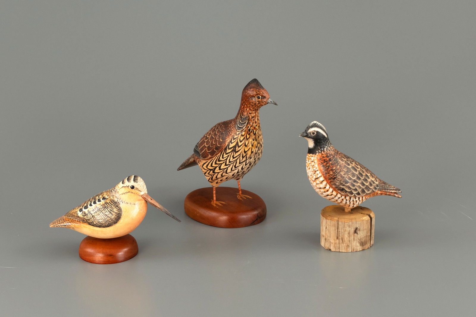 Grouse, Quail, and Woodcock by Ken Kirby (1 of 5)
