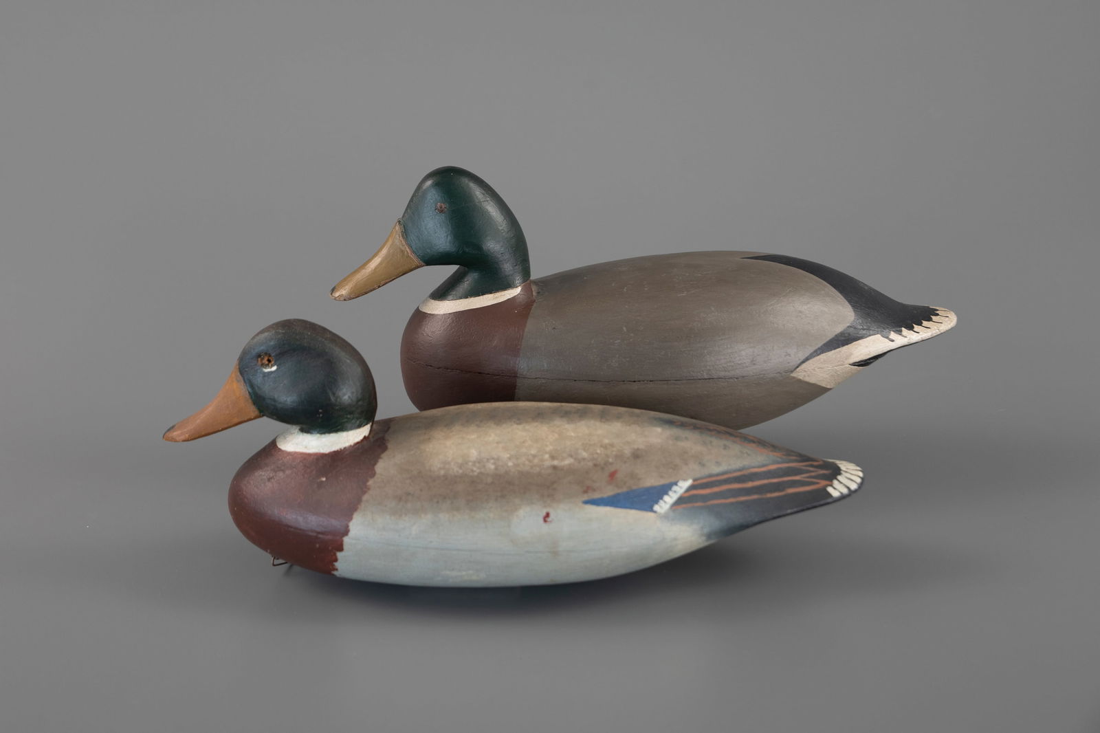 Two Mallards (1 of 4)