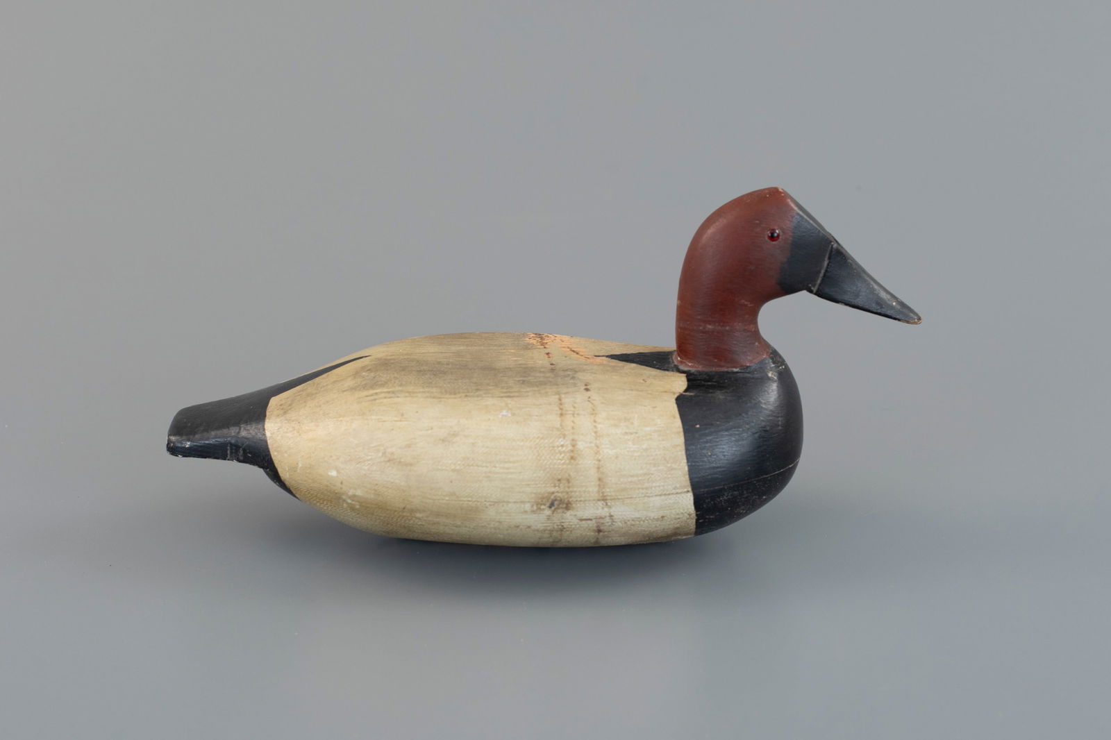Canvasback by William Lohrman (1890-1955) (1 of 4)