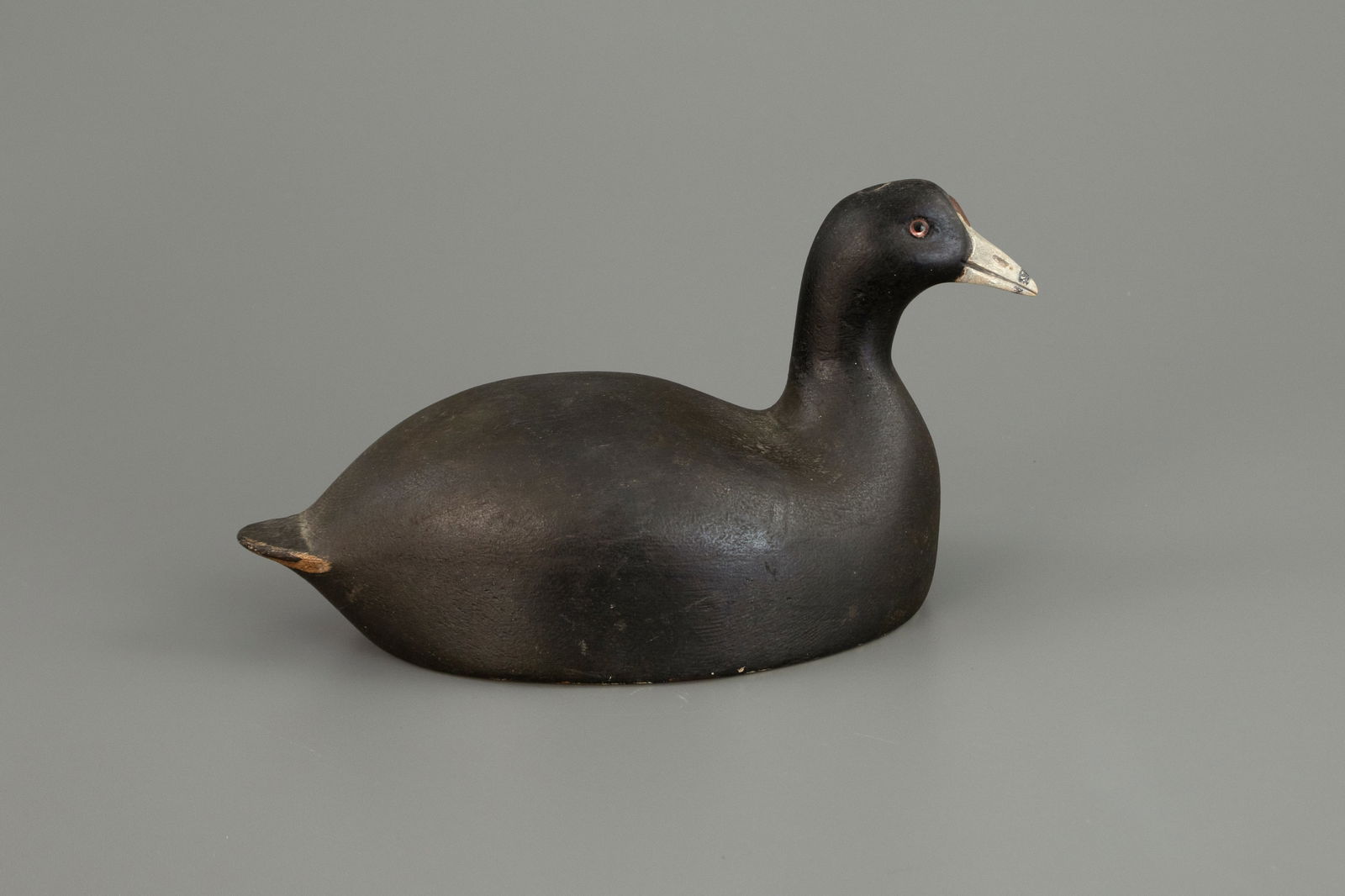 Coot by Frank Strey (1890-1966) (1 of 5)