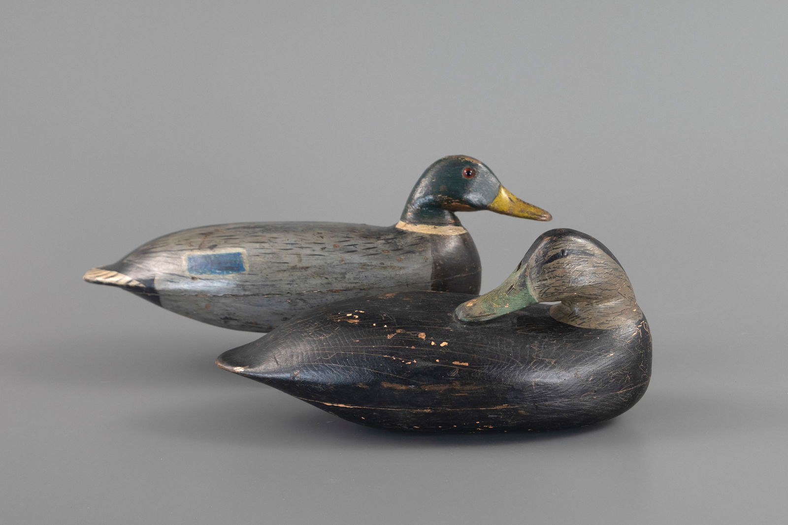 Mallard Drake and Preening Black Duck by Calvin Hickman (1 of 4)