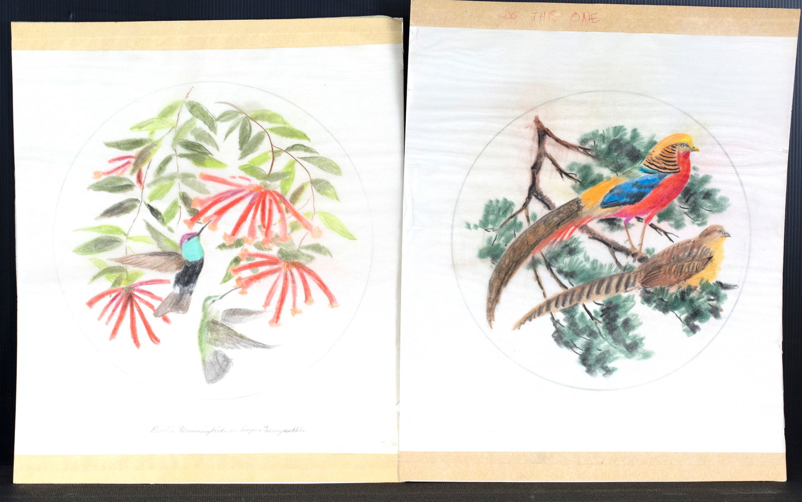 Arthur B. Singer (1917-1990), Six Woodland Bird Drawings (1 of 3)