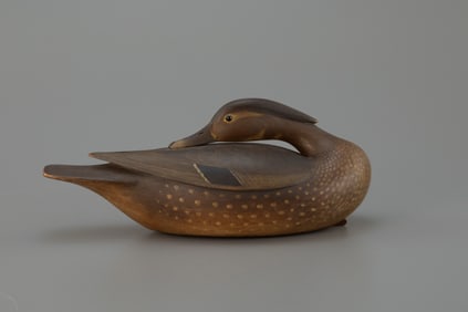Preening Wood Duck Hen by Mark S. McNair (b. 1950)
