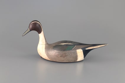 Root-Head Pintail Drake by Mark S. McNair (b. 1950)