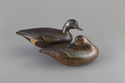 Early Blue-Winged Teal Pair by Mark S. McNair (b. 1950)