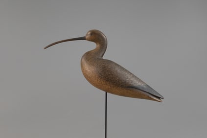 Long-Billed Curlew by Mark S. McNair (b. 1950)