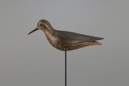 Golden Plover by Mark S. McNair (b. 1950)