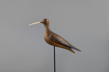 Eskimo Curlew with Bone Bill by Mark S. McNair (b. 1950)
