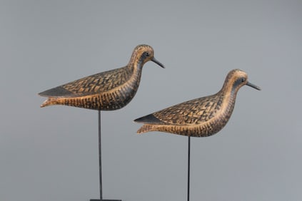 Golden Plover Pair by Cameron T. McIntyre (b. 1968)