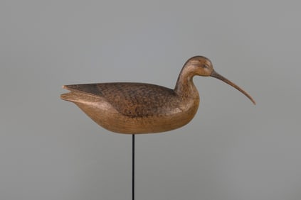 Curlew by Cameron T. McIntyre (b. 1968)