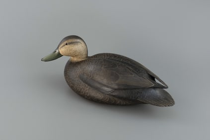 Early Black Duck by Robert "Bob" White (b. 1939)