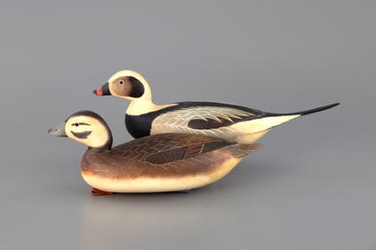 Long-Tailed Duck Pair by Robert "Bob" White (b. 1939)