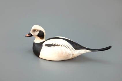 Long-Tailed Drake by Jim Schmiedlin (1945-2015)
