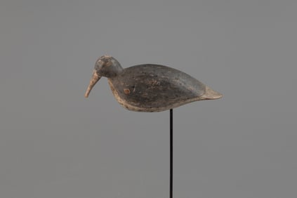 Mackey "Matthews Rig" Plover in Winter Plumage by Dave "Umbrella" Watson (1851-1932)