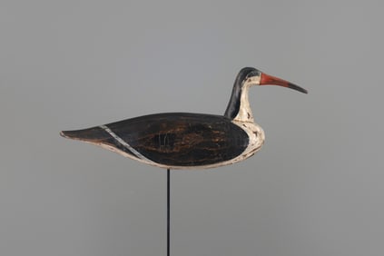 The Hunter Black Skimmer by Doug Jester (1876-1961)