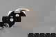 item-209068458=1