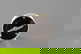 item-209068458=2