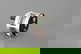 item-209068458=3