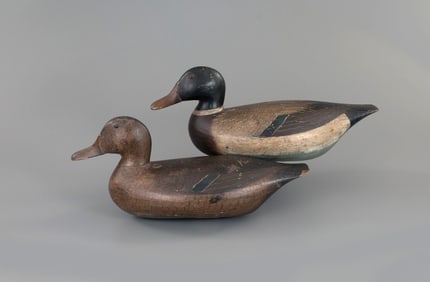 The Hunter Blair Mallard Pair by John Blair Sr. (1842-1928)