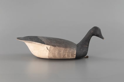 Swimming Brant by Lloyd Parker (1859-1921)
