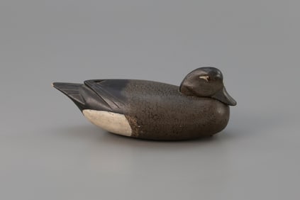 Rare Tucked-Head Gadwall by Henry Updyke