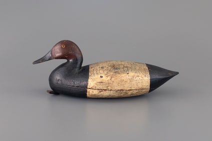 Rare Canvasback by Joe King (1835-1913)