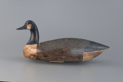 Hollow Canada Goose, Loveland Family
