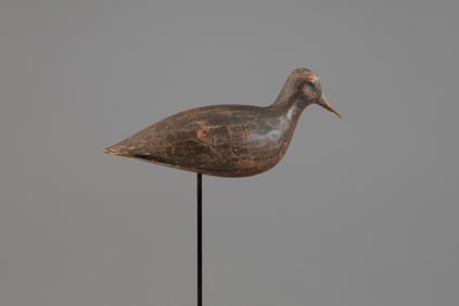 Red Knot by Joe King (1835-1913)
