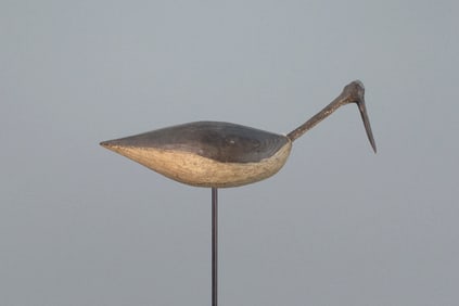 McCleery Root-Head Shorebird