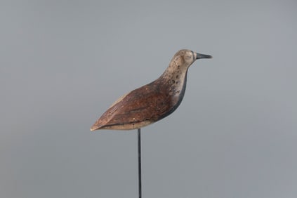Running Hillman Turnstone