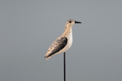 Peep Decoy by Ellis Parker (1870-1952)